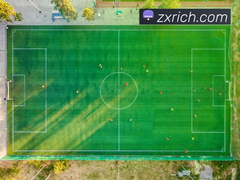 众星娱乐官网发展历程